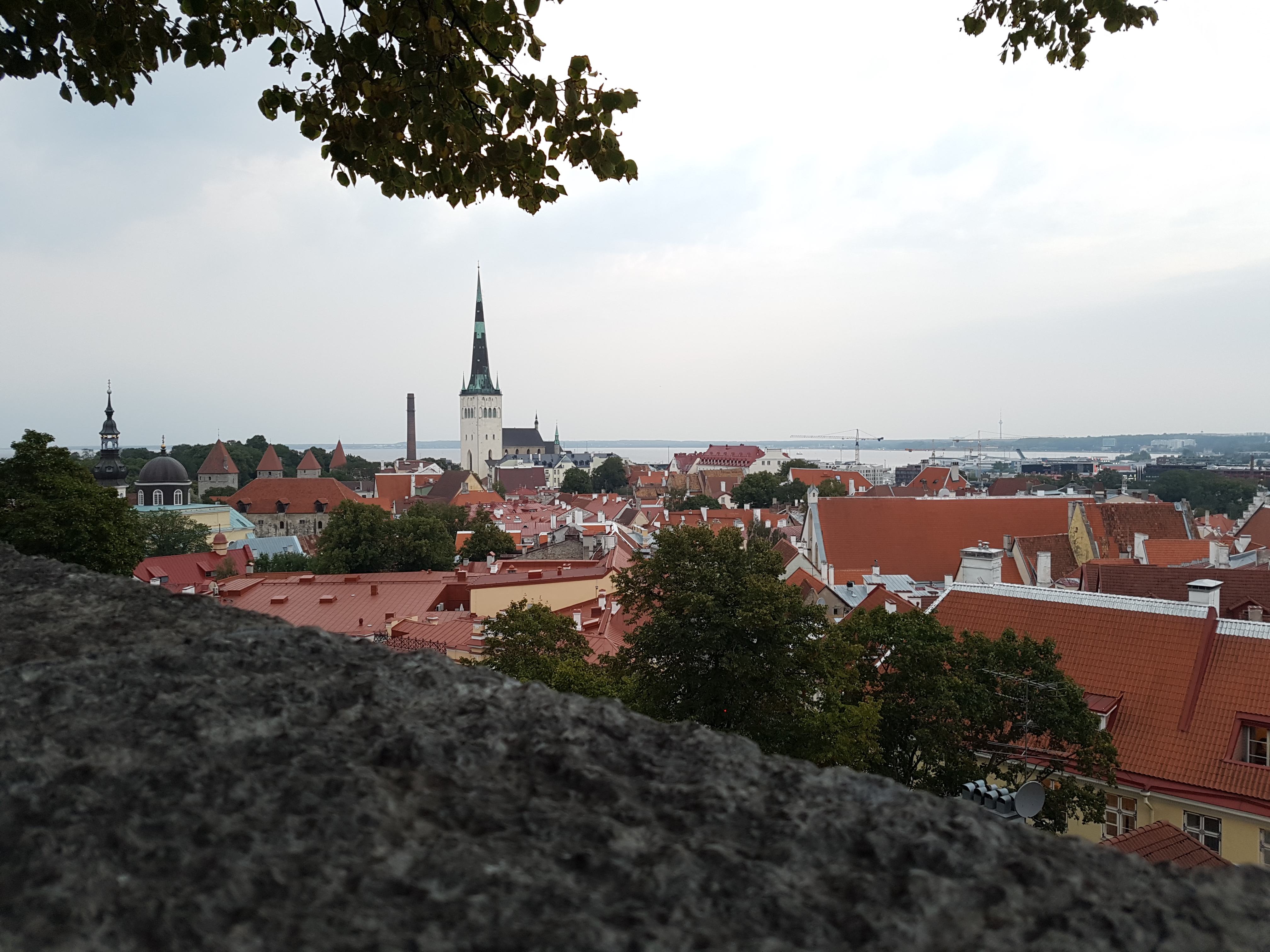 Geocaching in Estland - Tallinn Skyline