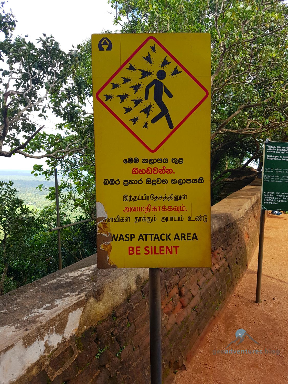 Sigiriya Geocaching Sri Lanka Wespen